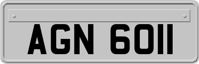 AGN6011