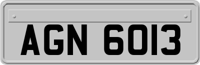 AGN6013