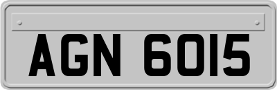 AGN6015