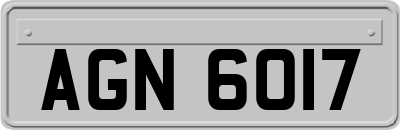 AGN6017