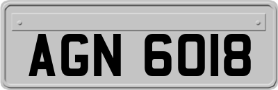 AGN6018