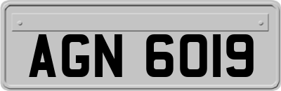 AGN6019