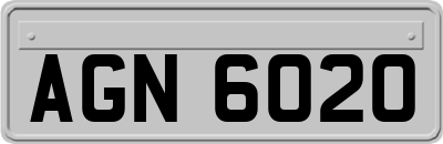 AGN6020