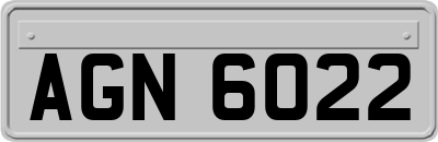 AGN6022