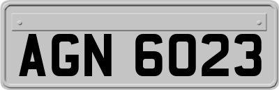 AGN6023
