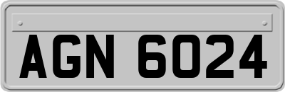 AGN6024
