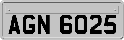 AGN6025
