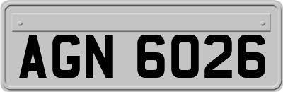 AGN6026