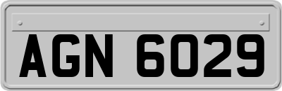 AGN6029