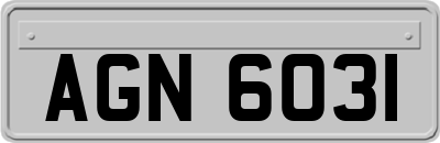 AGN6031