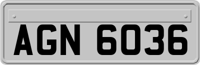 AGN6036