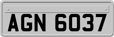 AGN6037