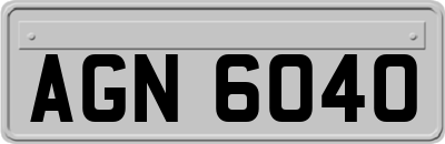 AGN6040