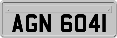 AGN6041