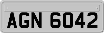 AGN6042