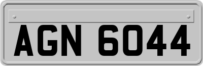 AGN6044