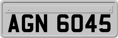 AGN6045