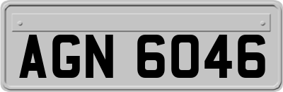 AGN6046