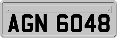 AGN6048