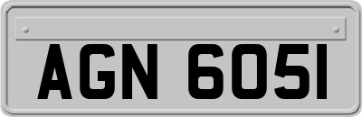 AGN6051