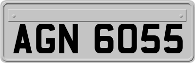 AGN6055