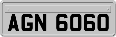 AGN6060