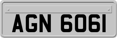 AGN6061