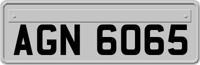 AGN6065