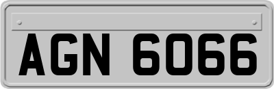 AGN6066