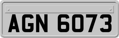 AGN6073