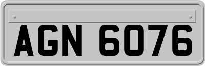 AGN6076