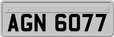 AGN6077