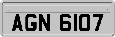 AGN6107