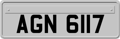 AGN6117