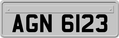 AGN6123