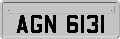 AGN6131
