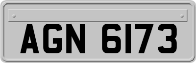 AGN6173
