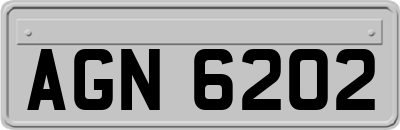 AGN6202