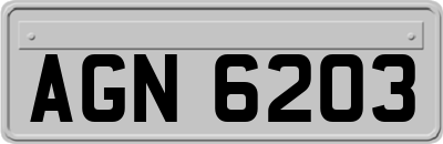 AGN6203