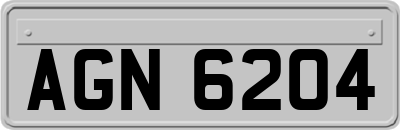 AGN6204