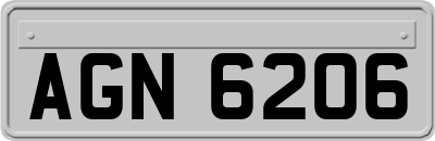 AGN6206