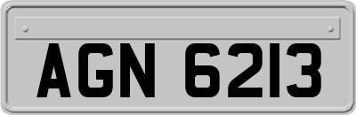 AGN6213