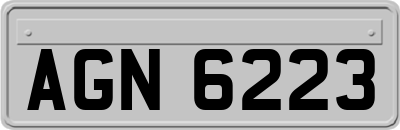 AGN6223