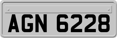 AGN6228