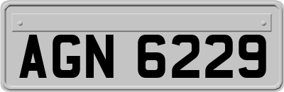AGN6229