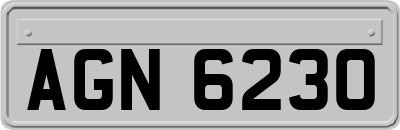 AGN6230