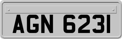 AGN6231