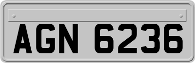 AGN6236