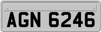 AGN6246