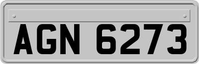 AGN6273